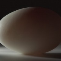 Weisses Ei auf weissem Grund