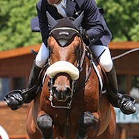 Pferd International 2011