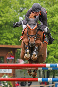 Pferd International 2013