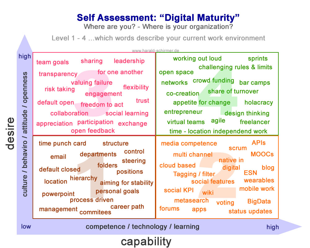 Self Assessment - Digital Maturity